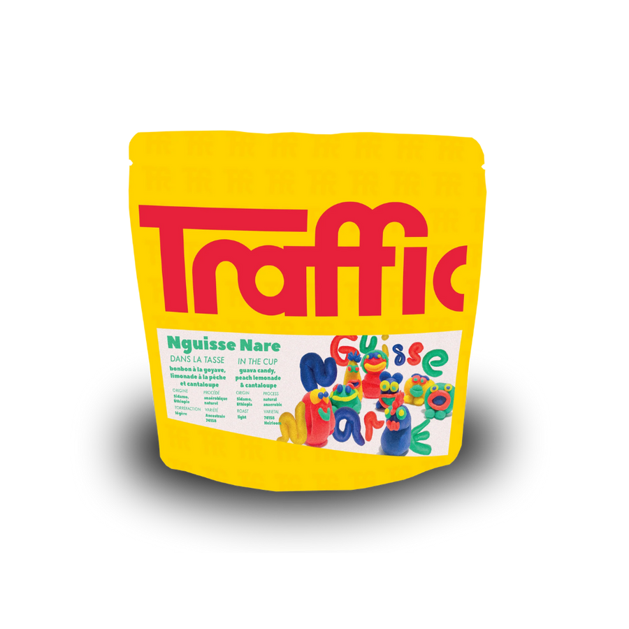 Nguisse Nare par Traffic